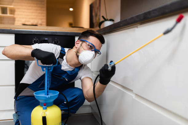 Best Best Pest Control Near Me  in Terville, WA