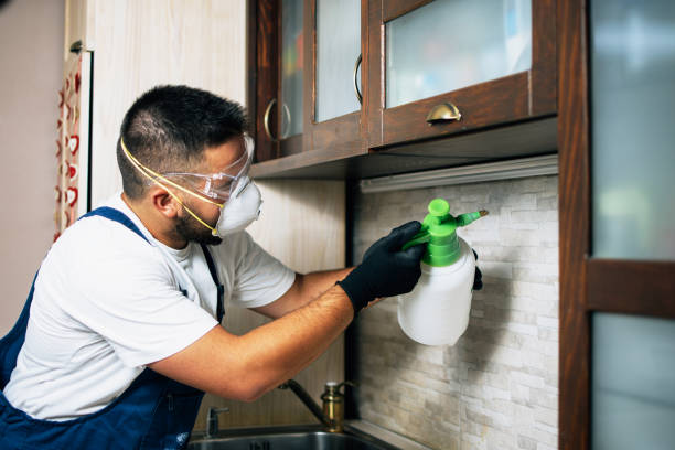 Best Bed Bug Extermination  in Terville, WA