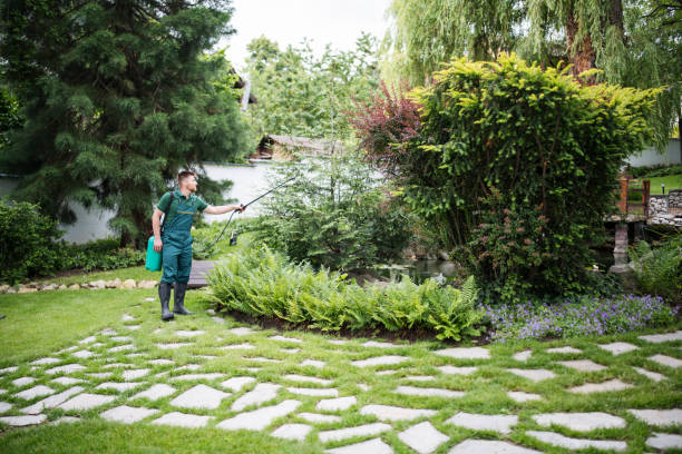 Best Bed Bug Extermination  in Terville, WA