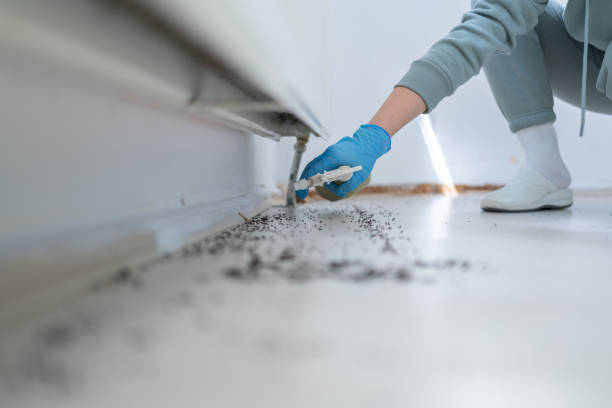 Best Pest Prevention Services  in Terville, WA