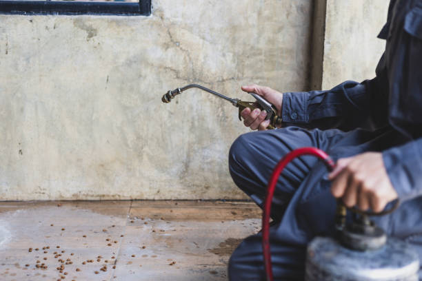 Best Pest Control Near Me  in Terville, WA